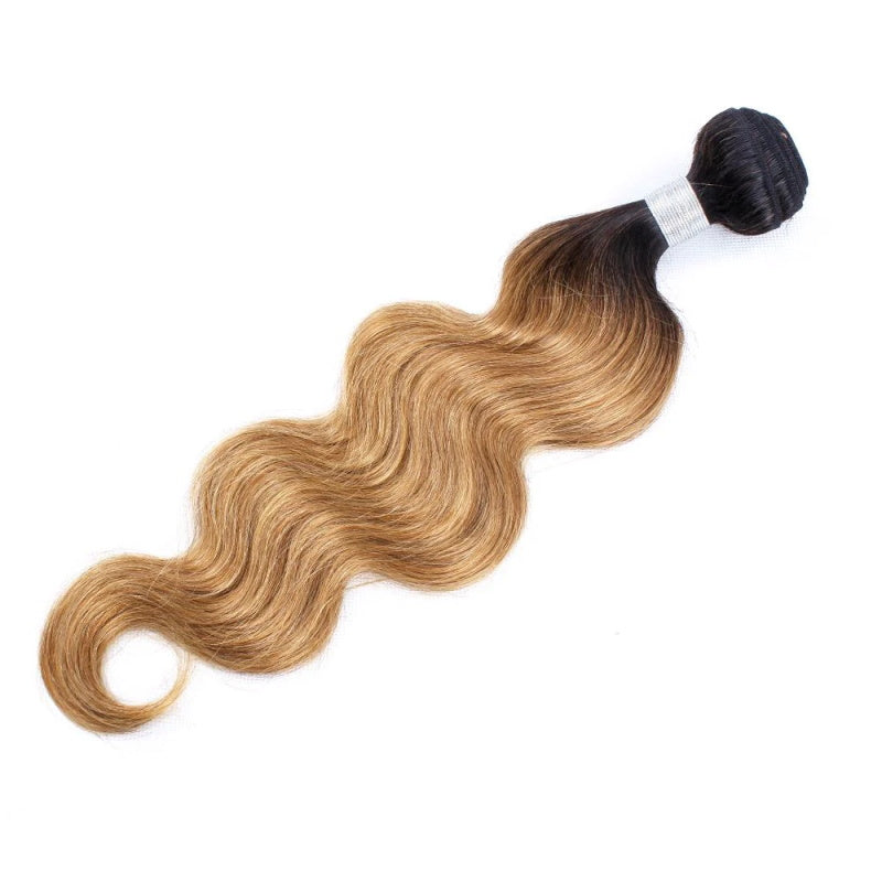 T1B27-2-tone-ombre-body-wave-bundles