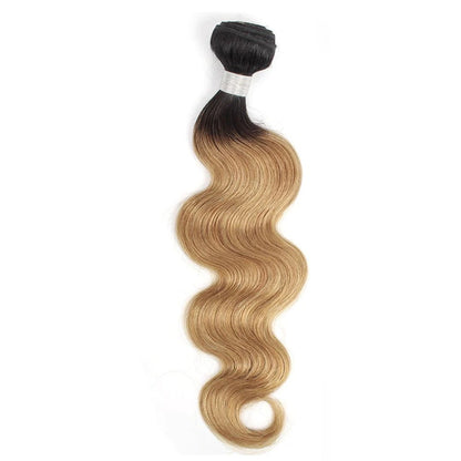 T1B27-2-tone-ombre-body-wave-bundles